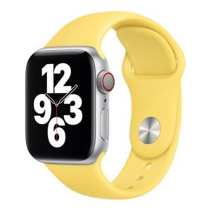 Smartwatch 2.0 LTE Wifi  Waterproof